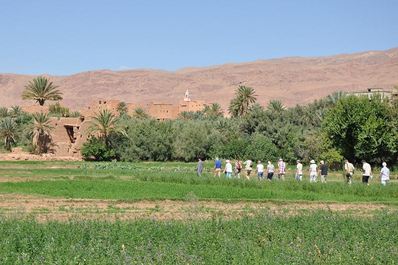DSC_0949a-tinghir.jpg - Organizovaná skupina turistov so sprievodcom kráča ktoviekam (Tinghir)