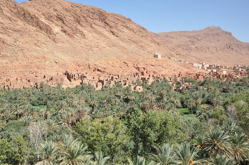 DSC_0957-tinghir.JPG - Tinghir, palmová oáza a červené domy