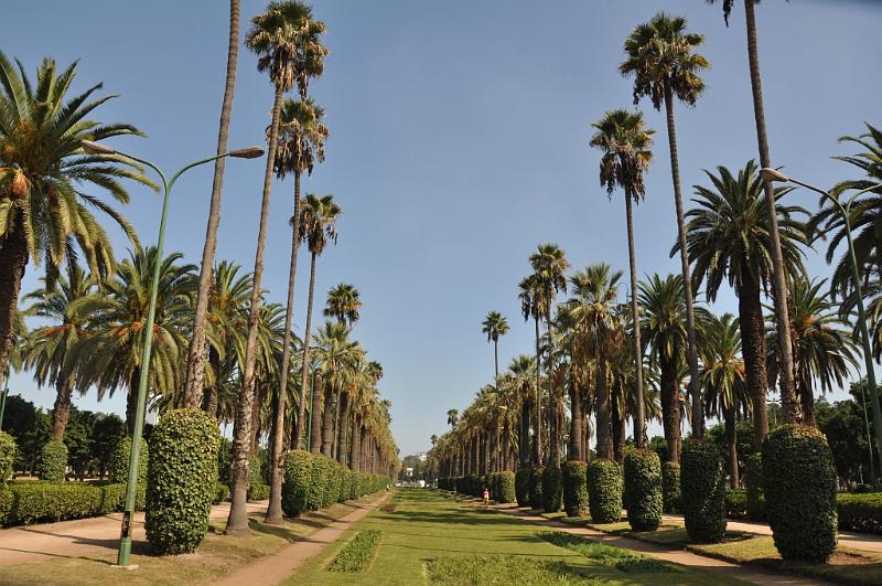 ESC_0069-park.JPG - Casablanca, park