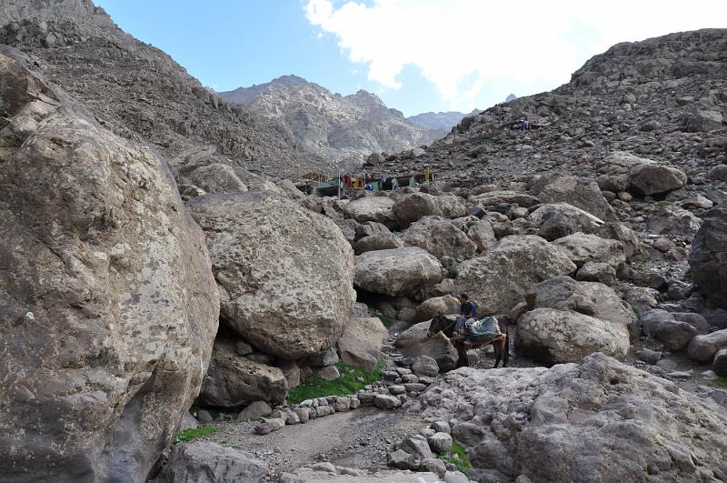 ESC_0441-oslik_v_horach.JPG - Oslík