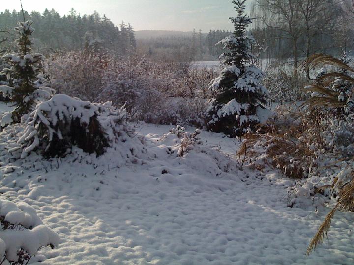 IMG_0102.JPG - Oblazkoviste, stromy a kere pod snehem a vse rychle taje...